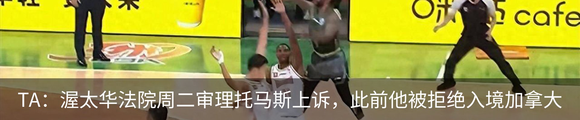 新闻动态